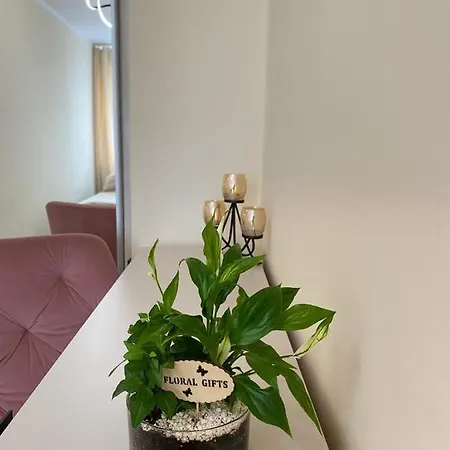 Apartament Katowice/spodek *