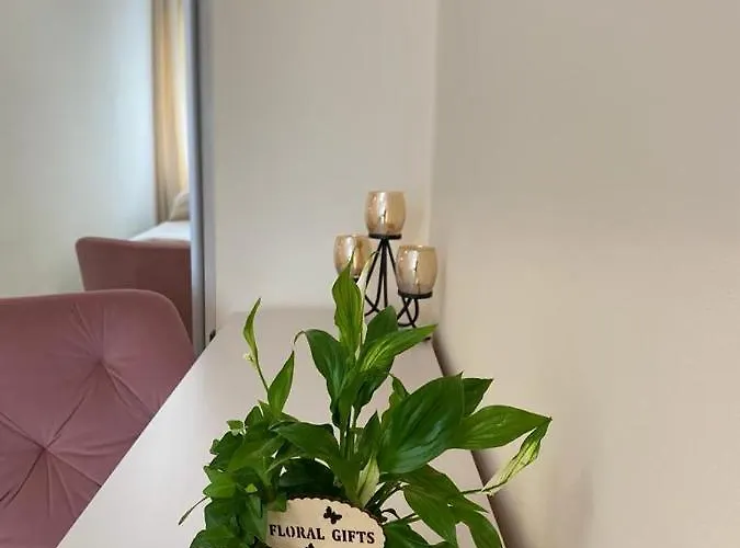 Apartmán Katowice/spodek *