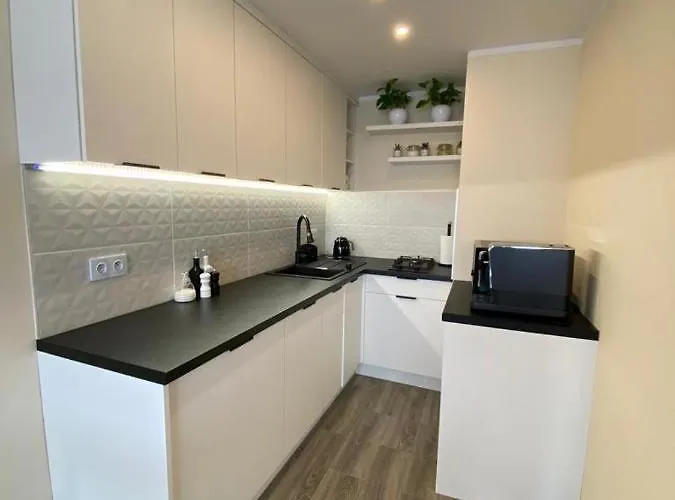 Appartamento Katowice/spodek